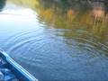 Parksville Lake Tennessee Largemouth