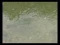 KRKA Waterfalls