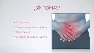 Jesús Arturo Moyers Arevalo-12
