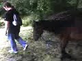 Follow The Leader Pony Style