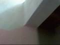 video Carmen