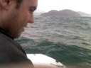 pesca da anchova