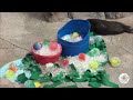 Sea Otter Easter Egg Hunt - YouTube