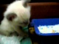 AKIM  1 9 2009 010