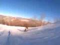 sam spedale snowboard clips