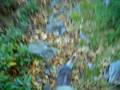 videos de mid state trail hike: finding a vista