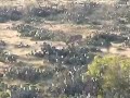 PELEA VENADOS