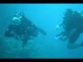 CADSAC at the red Sea on 'The Gelen'