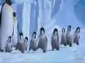 ♪Bijan Mortazavi ღ Ronakღ Raghse PinguineღPenguins ROCK♪ Funny Happy Feet ♪تولدت مبارک♪ Happy Birthday ♪ Tavalodet Mobarak ♪
