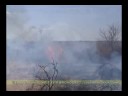 2008-03-30 Controlled Burn - Sayre, OK 2008-03-30 Controlled Burn - Sayre, OK