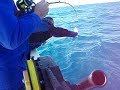 Wahoo, caught with THE BEAST