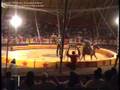 Circo de Choya por Anaxi parte II