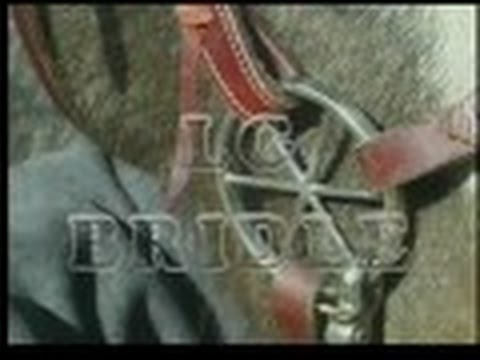 how to fit lg bridle