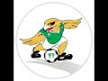 acdubai first goal on al jazeera
