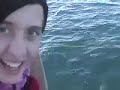 Cetacean Watching Cetacean Watching