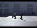 1/2 PINTZ - Bo Wheelies 