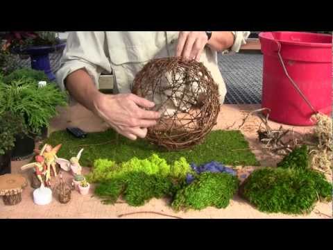 how to plant willow