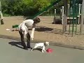 See video