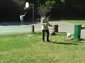 See video