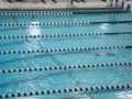 Marcos,Greg, Ian, Connor - Medley relay Feb 2009