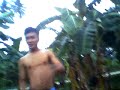 kolasaw dances grooves