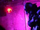 Incapacitants, Instal 2008