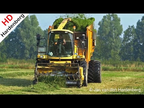 how to harvest lucerne