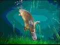 intermediary species