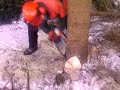 stihl ms361 stihl ms361