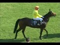 II trka IV trkackog dana 2008. godine u Sapcu