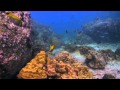 White Rock Koh Tao