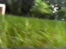 Music Video: Hayfever