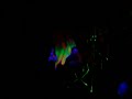 Labrynth 21st Birthday part 2