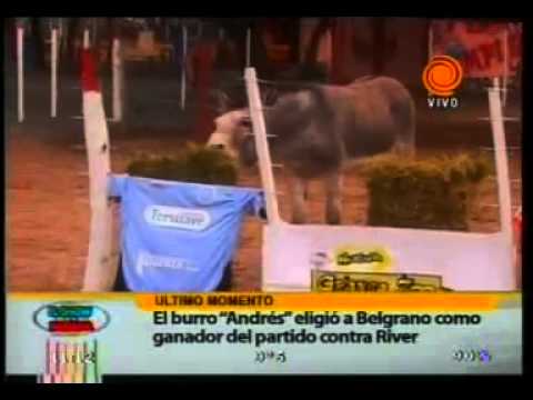 Imagen de previsualización de YouTube