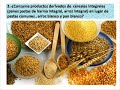 cuestionario de bienestar