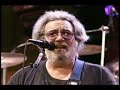 grateful dead -  built to last. alpine valley music theater 1989