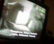 Notte Cinefestival