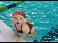 chats d�lirants
