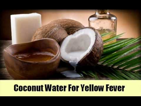 how to cure yellow fever