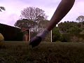Freekicks and Freestyle