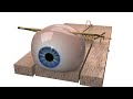 LAMA Werbeagentur 3D Demoreel 2008