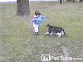 Cat Bumps Baby