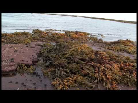 how to plan a trip to prince edward island