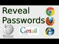 How to find password using inspect element