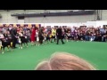 Westminster 2013 Greater Swiss Best of Breed