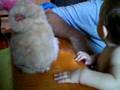 Elliot meets Furby