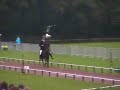 WC 2007 Icelandic horses Sigur�ur Marinusson [NL] PP1