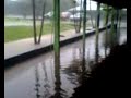 Charco de mierda (Liceo de Moravia)2008 Charco de mierda (Liceo de Moravia)2008