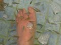 Dr. Fish Pedicure - Alexandria, Va. video 2 Dr. Fish Pedicure - Alexandria, Va. video 2