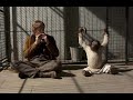 Creation (2009) Watch Full Movie